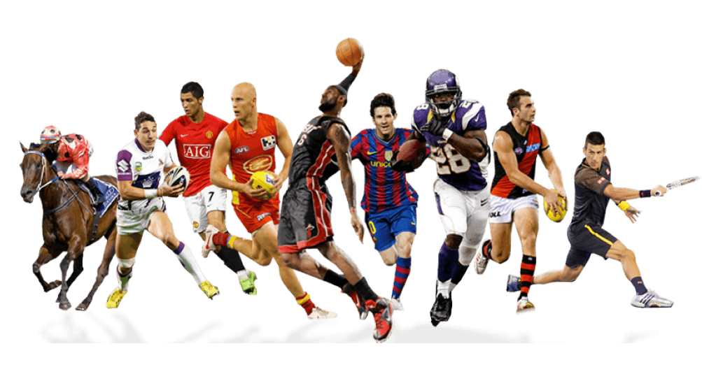 sports income protection insurance pp sports